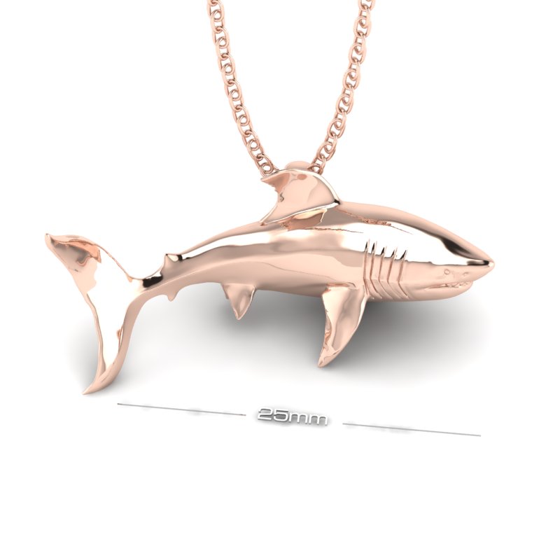 GREAT WHITE SHARK image 2
