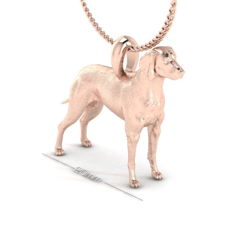 WEIMARANER image 2