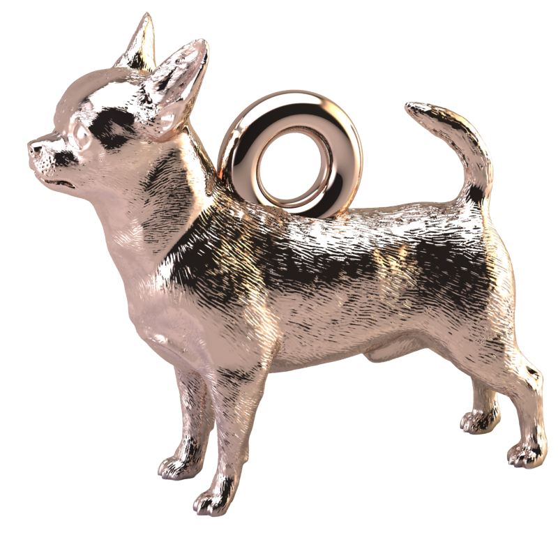 Chihuahua charm