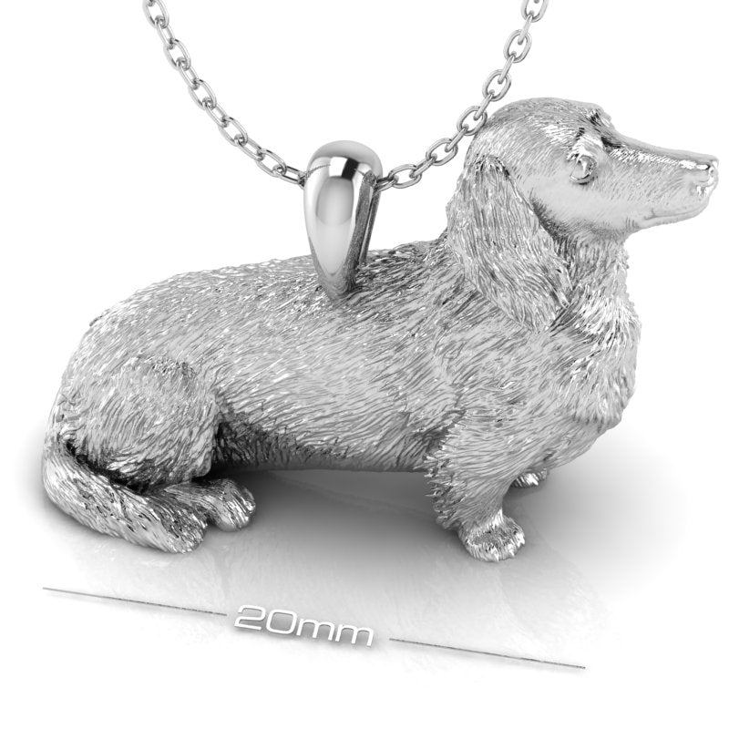 Canine collection