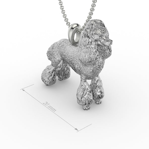 POODLE image 0