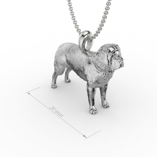 ST BERNARD image 0