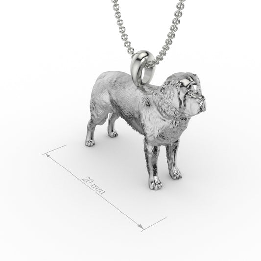 ST BERNARD image 0