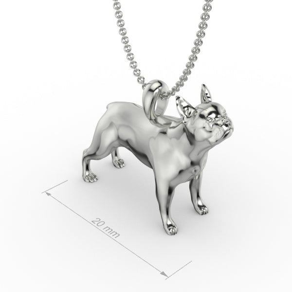 BOSTON TERRIER image 0