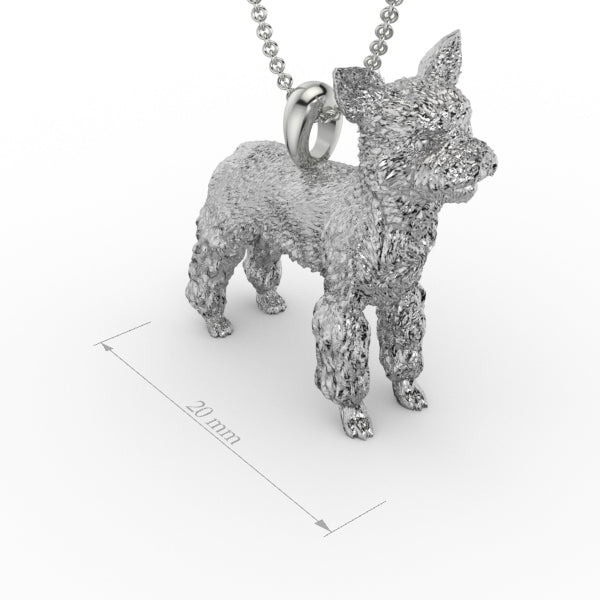 YORKSHIRE TERRIER image 0