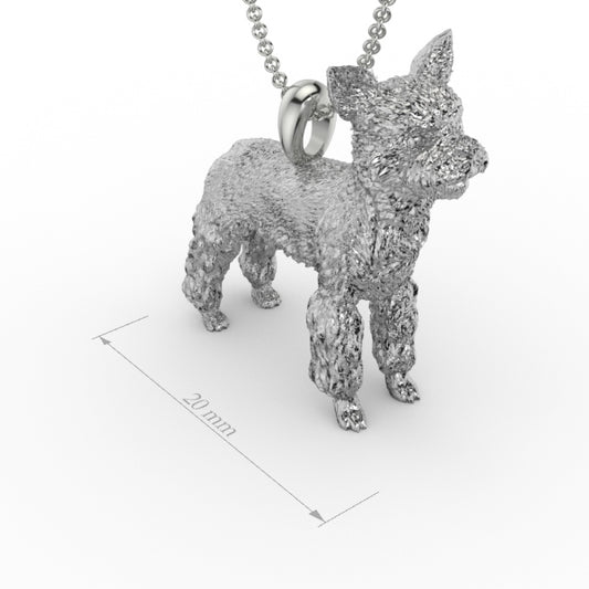 YORKSHIRE TERRIER image 0