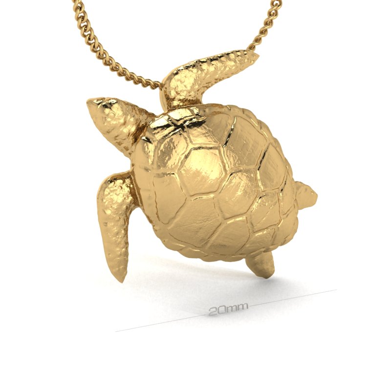 SEA TURTLE image 1