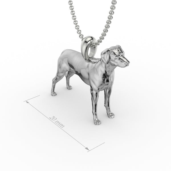 RODESIAN RIDGEBACK image 0