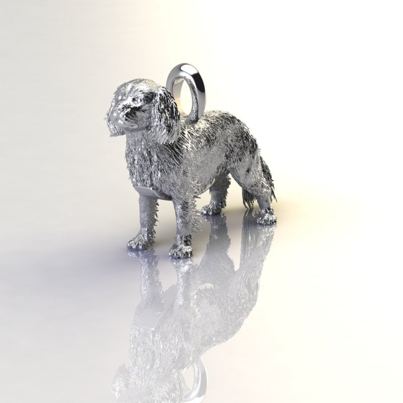 CAVALIER KING CHARLES SPANIEL image 0
