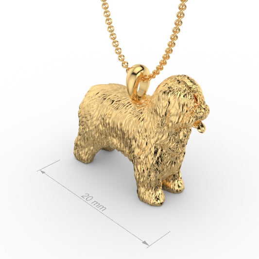 BRIARD image 1