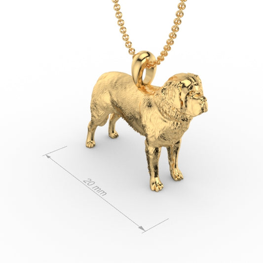 ST BERNARD image 1