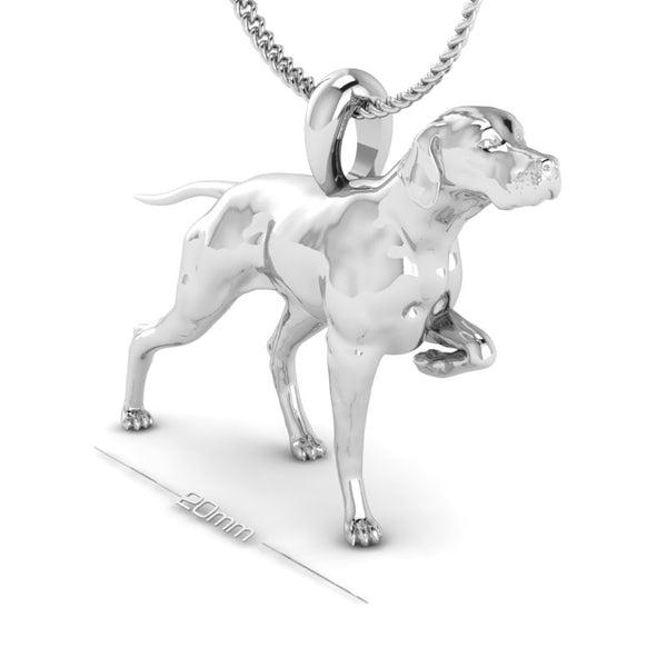 POINTER HUNTING image 0