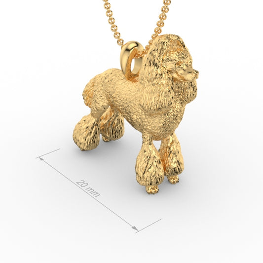 POODLE image 1