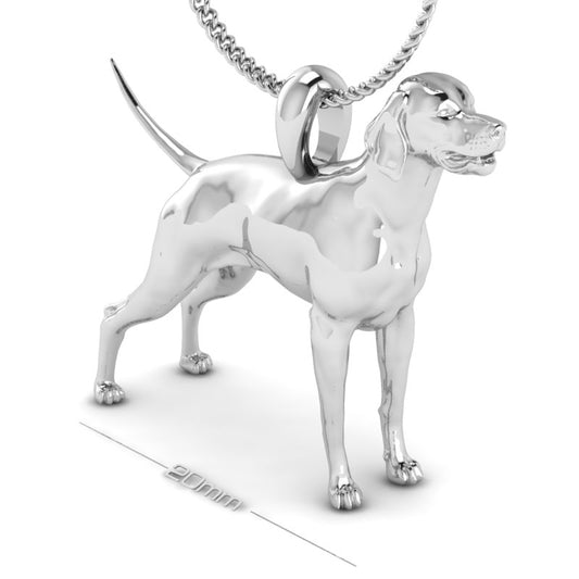 ENGLISH POINTER image 0