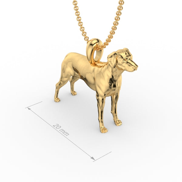 RODESIAN RIDGEBACK image 1