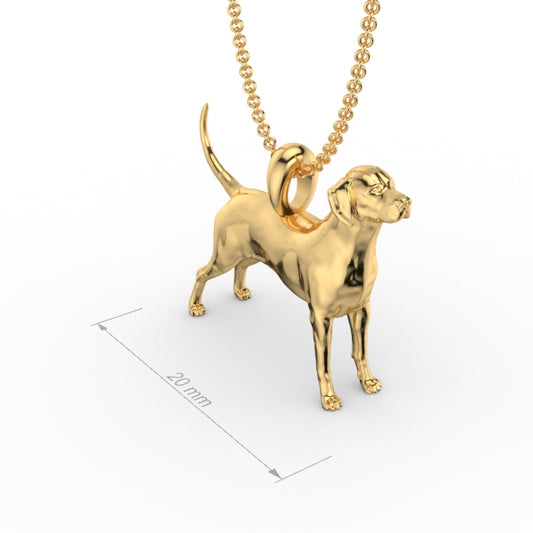 DALMATIAN image 1