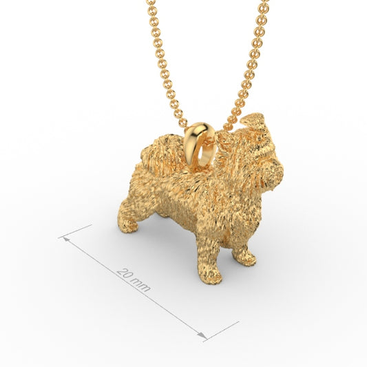 BRIEWER YORKSHIRE TERRIER image 1